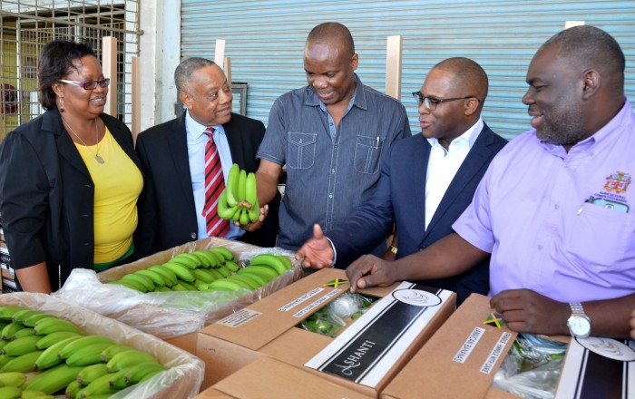 Minister of Agriculture, Labour and Social Security, Hon. Derrick Kellier (2nd left), makes a comment to St. Mary banana farmer, Noel Clarke (centre), during a visit to the Agricultural Marketing Corporation (AMC) Complex in Kingston on Friday (January 23), to observe the packaging of banana for export. Others (from left) are: General Manager at the Banana Board, Janet Conie; Head of Ashanti Limited, Noel Dempster; and Permanent Secretary in the Agriculture Ministry, Donovan Stanberry.