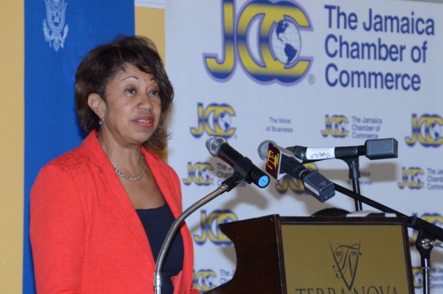 President of JAMPRO, Diane Edwards, addressing participants at a business franchising seminar, held today  (May 19), at the Terra Nova Hotel, in St. Andrew.