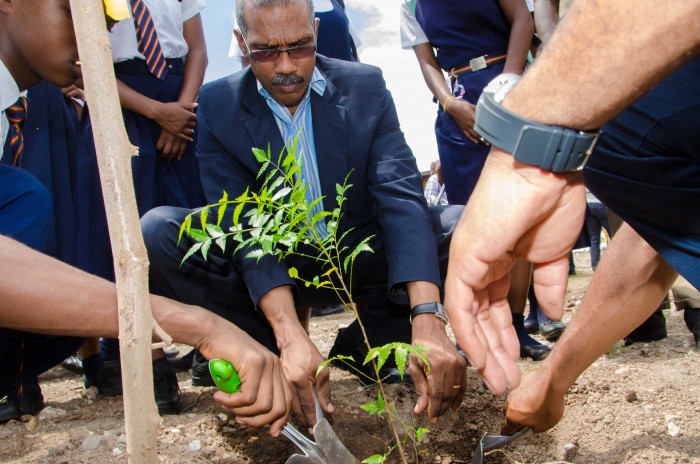 Chief Technical Director in the Ministry of Water, Land, Environment and Climate Change, Lt. Col. Oral Khan, plants a tree at the launch of National Tree Planting Day on Friday, (October 2) at the St. Andrew Technical High School located on Spanish Town Road. The annual exercise is spearheaded by the Forestry Department. 