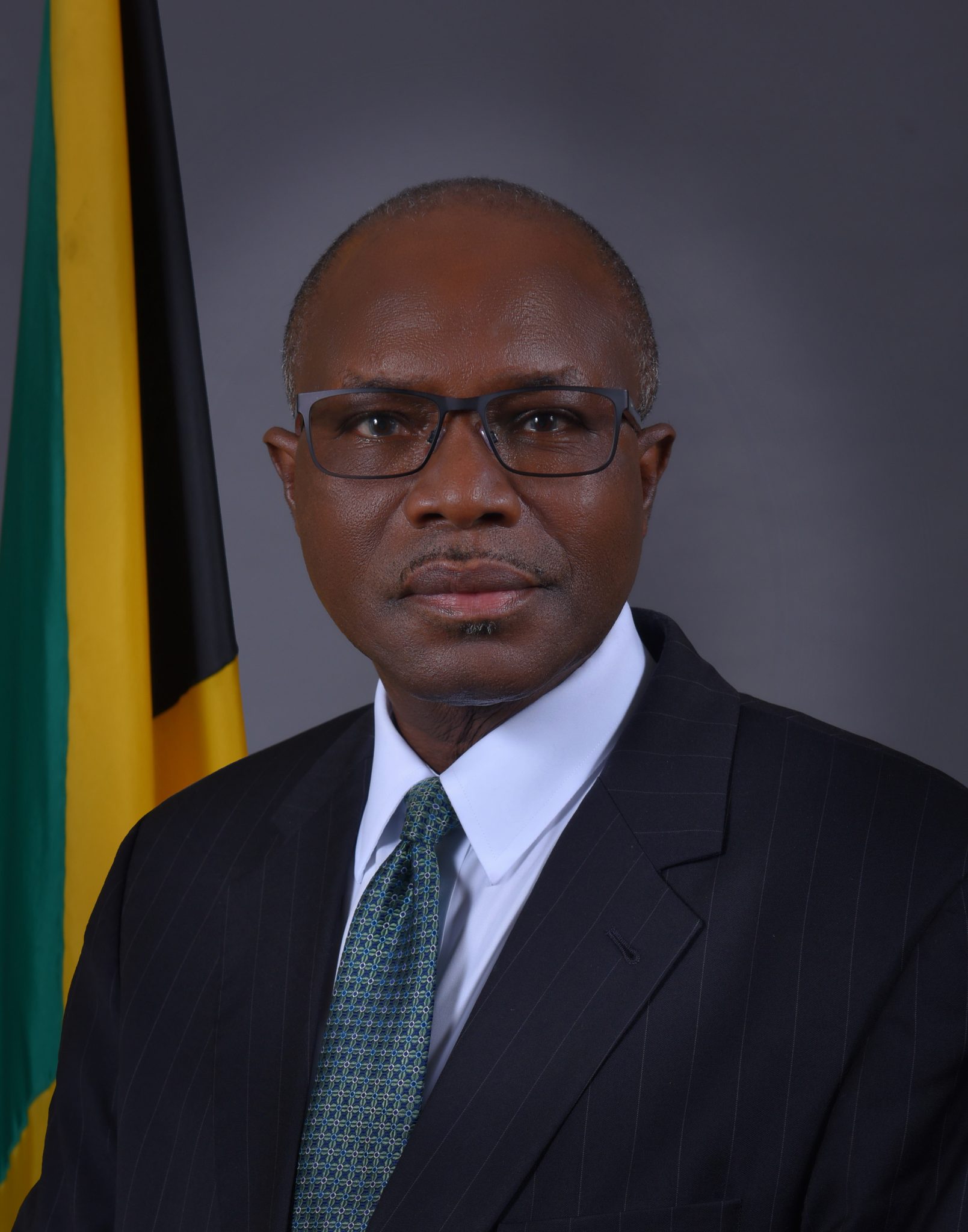Minister without Portfolio in the Ministry of Economic Growth and Job Creation, the Hon Everald Warmington
