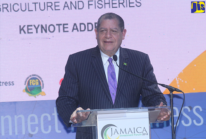 Jamaica’s Energy Diversification Programme Bearing Fruit