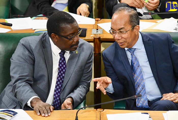 Minister of Transport and Mining, Hon. Robert Montague (left); and National Security Minister, Hon. Dr. Horace Chang, are in conversation at the sitting of the House of Representatives on July 10.