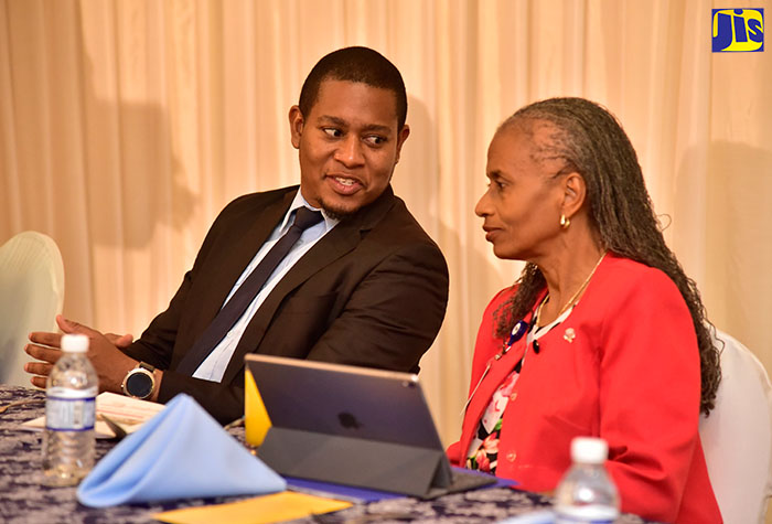 State Minister for Education, Youth and Information, Hon. Floyd Green (left), converses with University of the West Indies, Mona Campus Registrar, Camille Bell-Hutchinson, at a breakfast meeting hosted by the University of the West Indies’ School of Education, at the Mona Visitors’ Lodge and Conference Centre on August 30.  

