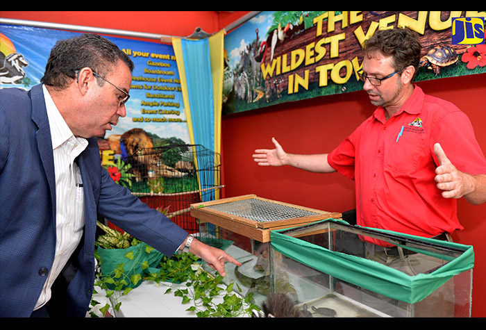 Minister without Portfolio in the Ministry of Economic Growth and Job Creation, Hon. Daryl Vaz (left), speaks with Curator, Hope Zoo, Milton Rieback about a Jamaican iguana, which is among the most endangered species of animals. The Minister was visiting various booths set up at the inaugural National Biodiversity Conference at the Spanish Court Hotel in New Kingston on Wednesday (October 17).