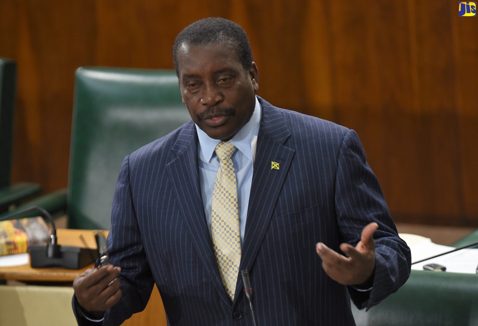 House Approves Amendments to Road Traffic Act Jamaica Information Service