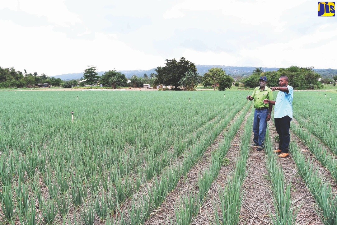 Achievements for 2018 – Support for Farmers
