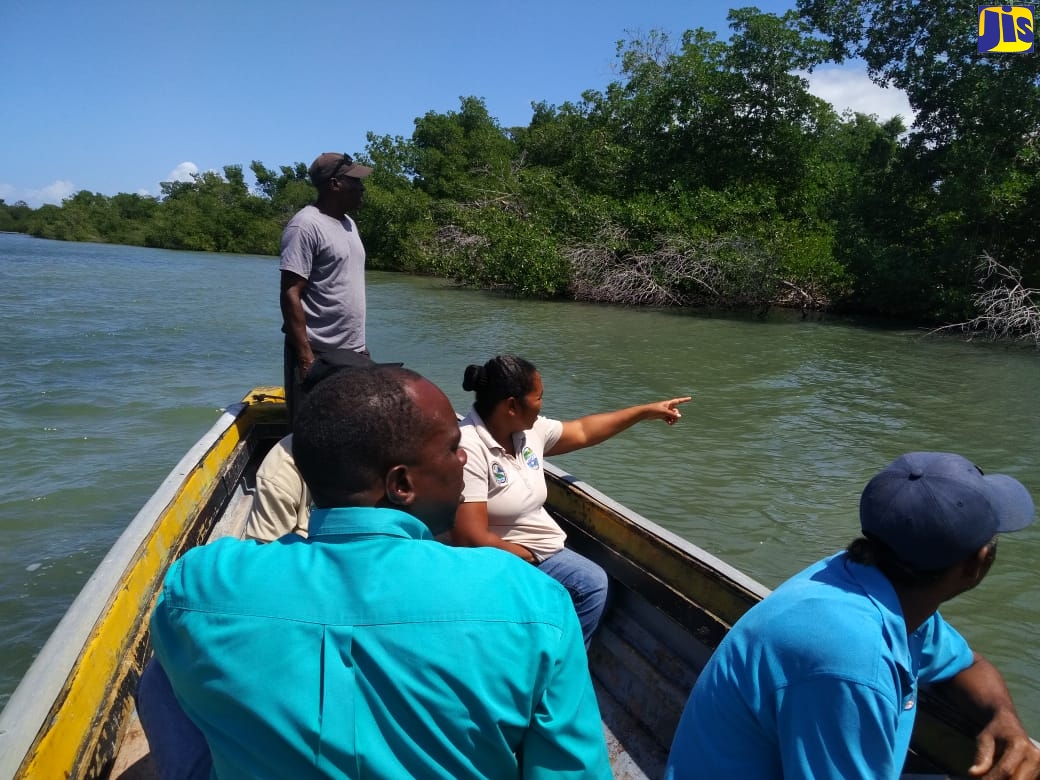 Team members of the Negril area Environmental Protection Trust (NEPT) patrol the waters of the Orange Bay Special Fishery Conservation Area in Hanover.     
