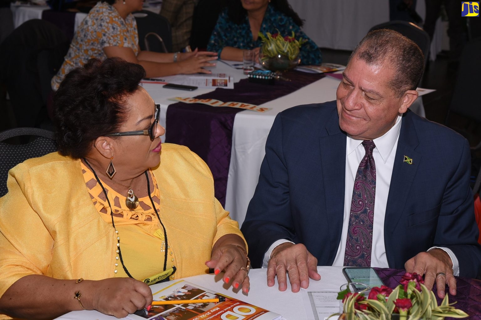 Minister of Industry, Commerce, Agriculture and Fisheries,  Hon. Audley Shaw (right), speaks with Founding Director, Caribbean Organisation Development Network, Lorna McDonald, at the opening of an Organisation Development Transformation Conference at the Spanish Court Hotel in New Kingston on May 21.