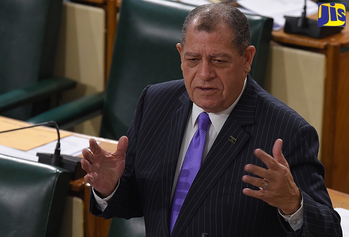 Minister of Industry, Commerce, Agriculture and Fisheries, Hon. Audley Shaw, speaks in the House of Representatives on June 18.
