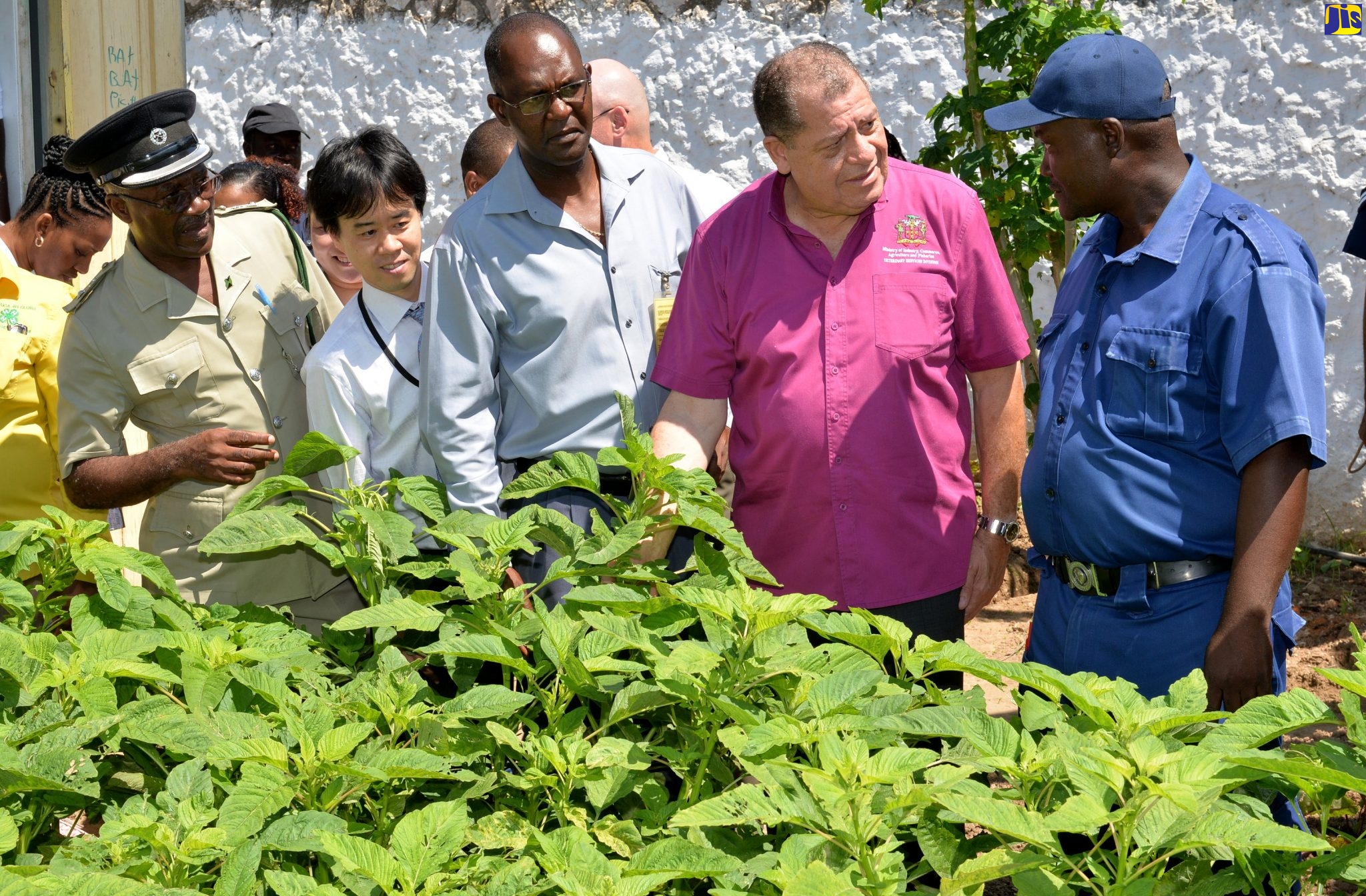 St. Catherine Adult Correctional Centre to Place Products on Market