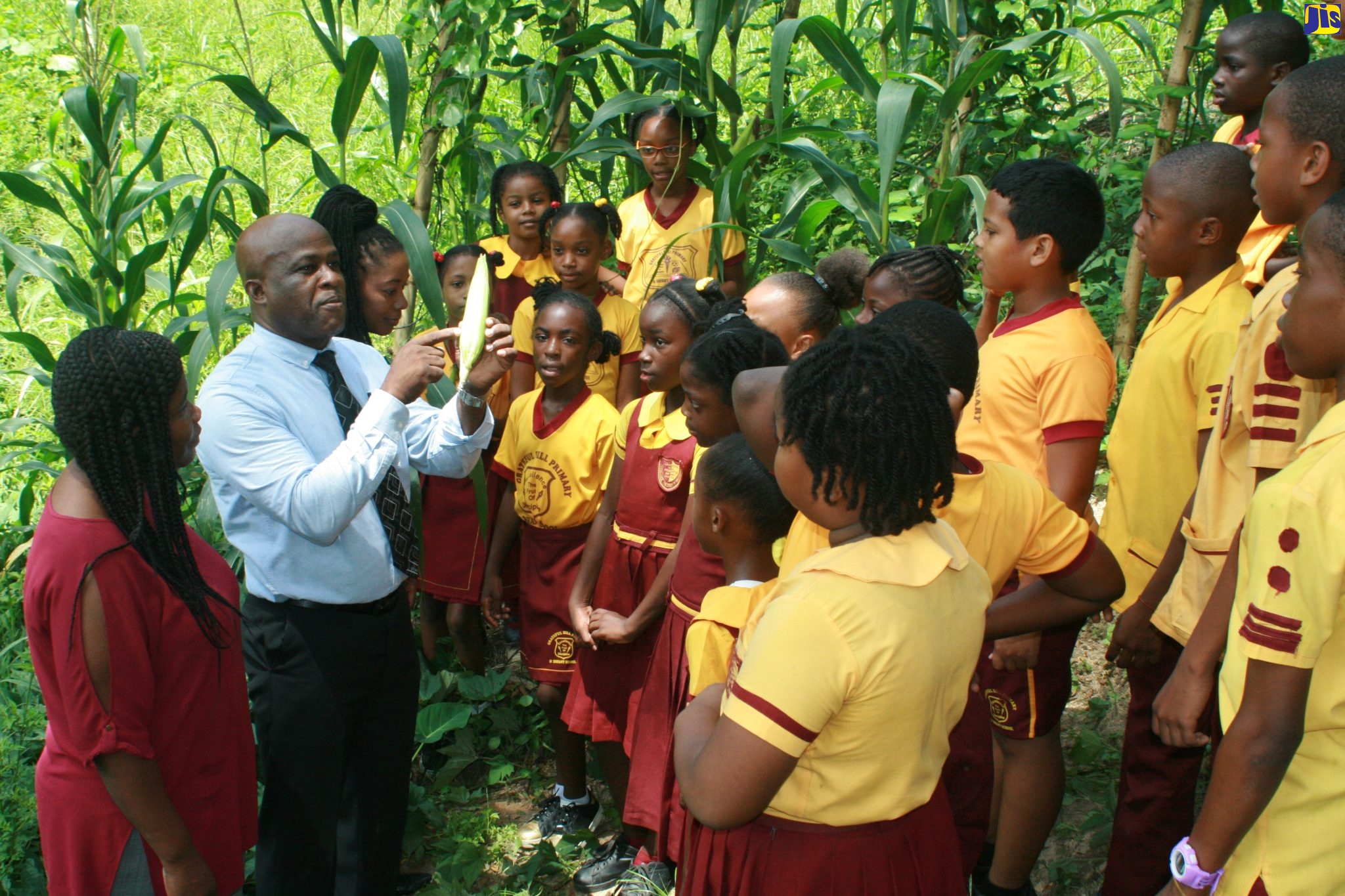 Grateful Hill Primary and Infant School Developing Well Rounded Students