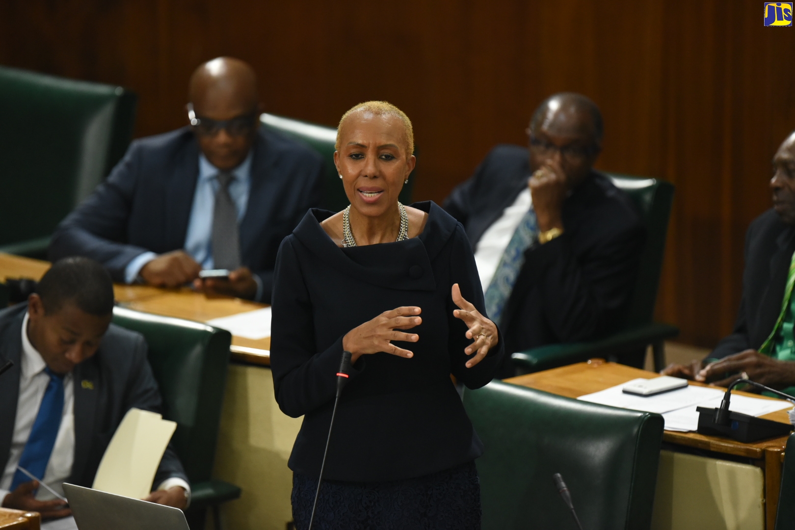Minister of Science, Energy and Technology, Hon. Fayval Williams, delivers a statement to the House of Representatives on Tuesday (September 17).