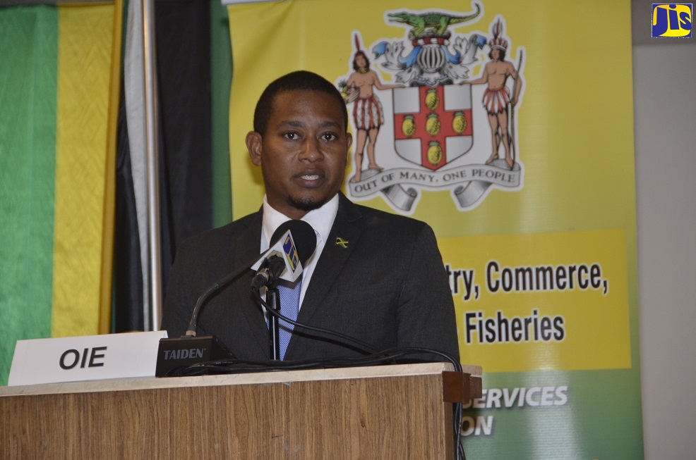State Minister in the Ministry of Industry, Commerce, Agriculture and Fisheries, Hon. Floyd Green, speaking at the opening ceremony for the 25th Seminar on Harmonisation of Registration and Control of Veterinary Medicines, organised by the Americas Committee on Veterinary Medicines (CAMVET),  at the Royalton White Sands hotel in Trelawny on Monday (September 23).