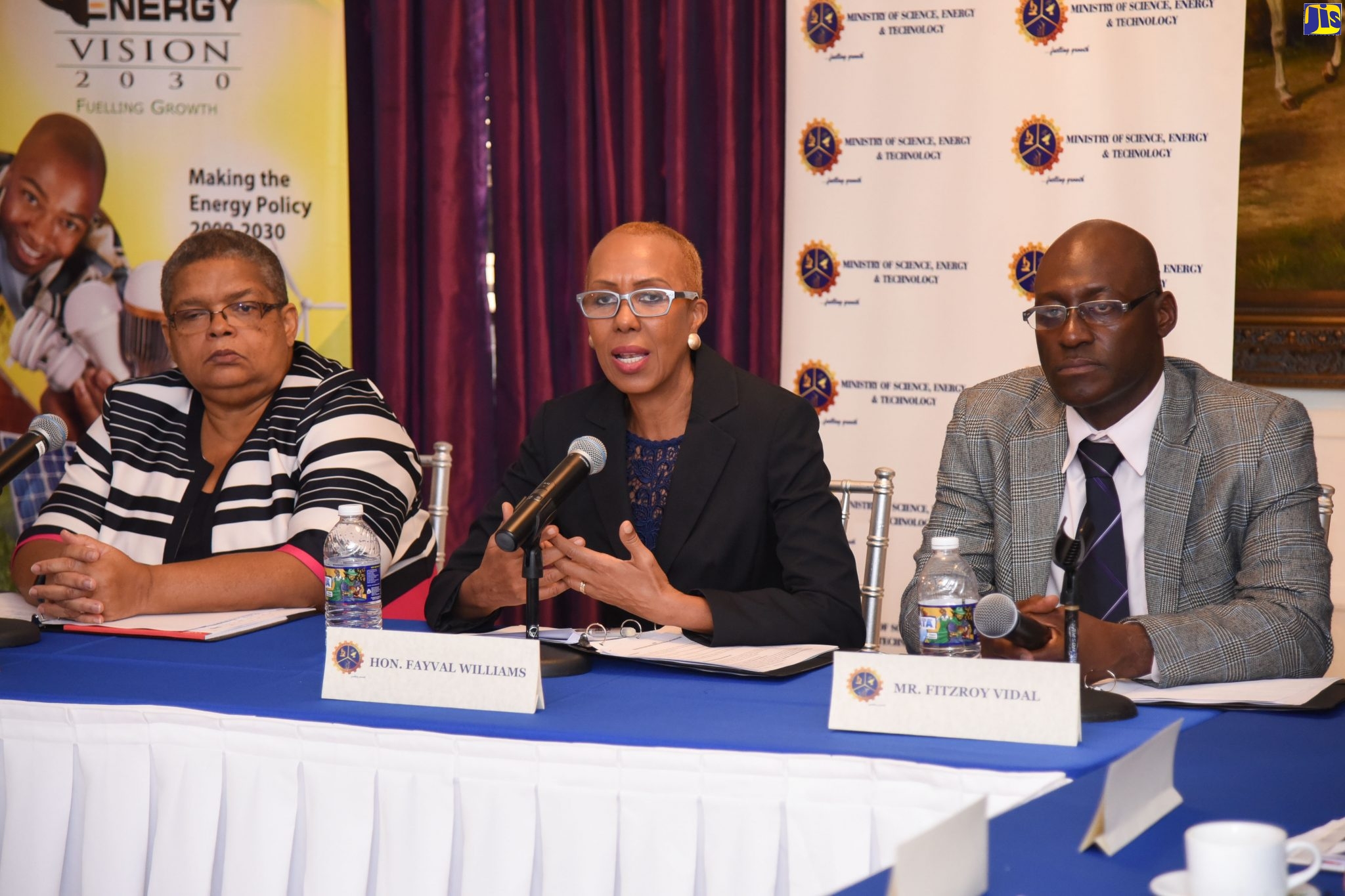 Government Re-Establishes Jamaica Energy Council