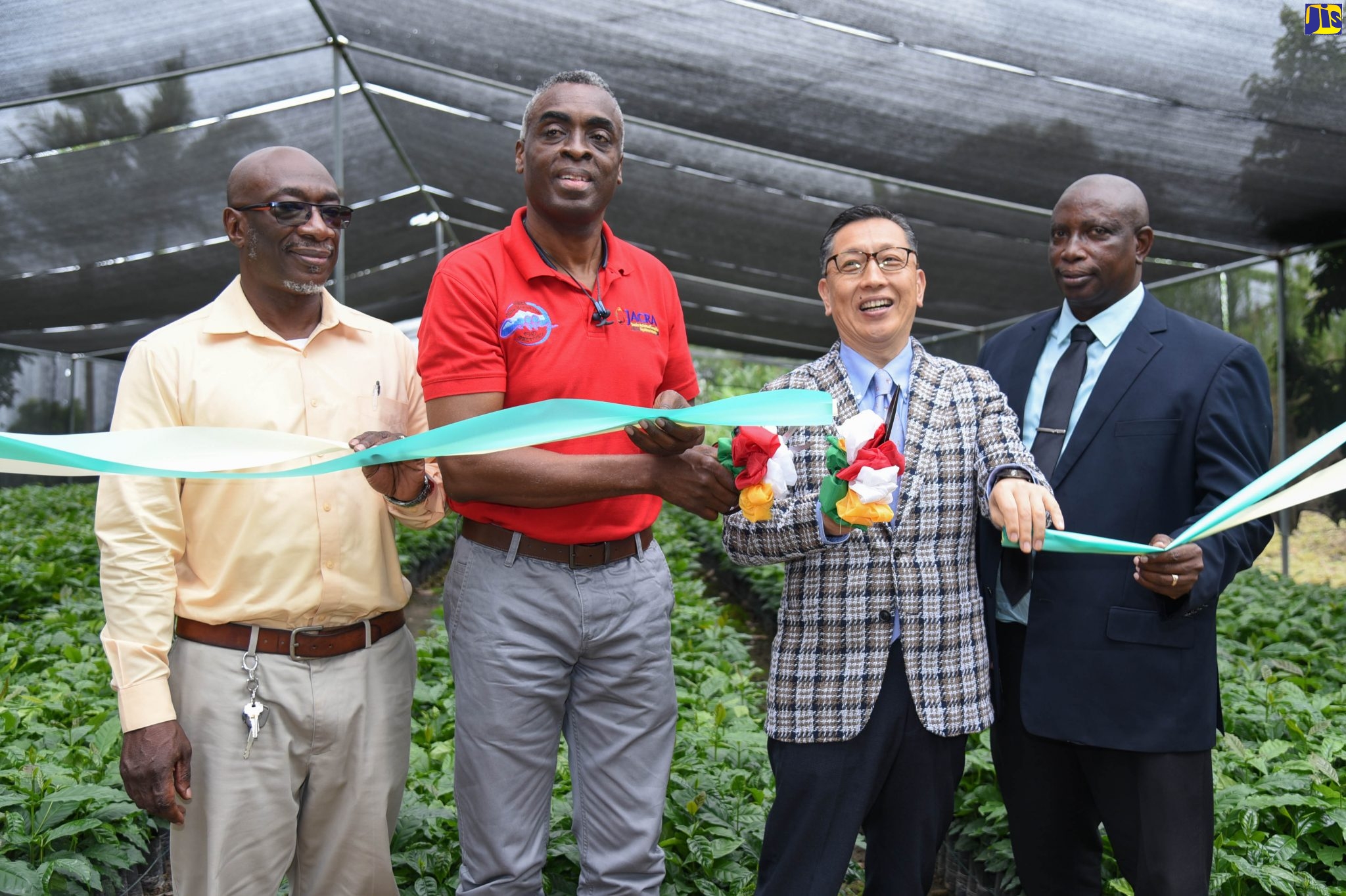 Ambassador of Japan to Jamaica, His Excellency Hiromasa Yamazaki (second right), cuts the ribbon to officially hand over the Blue Mountain Coffee Nursery to the Jamaica Agricultural Commodities Regulatory Authority (JACRA), under the Grant Assistance for Grassroots Human Security Project. The ceremony was held on October 4 at Rose Hill, Woodford, in the Blue Mountains. Sharing the moment (from left) are Chief Planning Analyst in the Ministry of Industry, Commerce, Agriculture and Fisheries, Karl Hyatt; Acting Director General, JACRA, Gusland McCook; and Councillor, Gordon Town Division, Neville Whittaker.