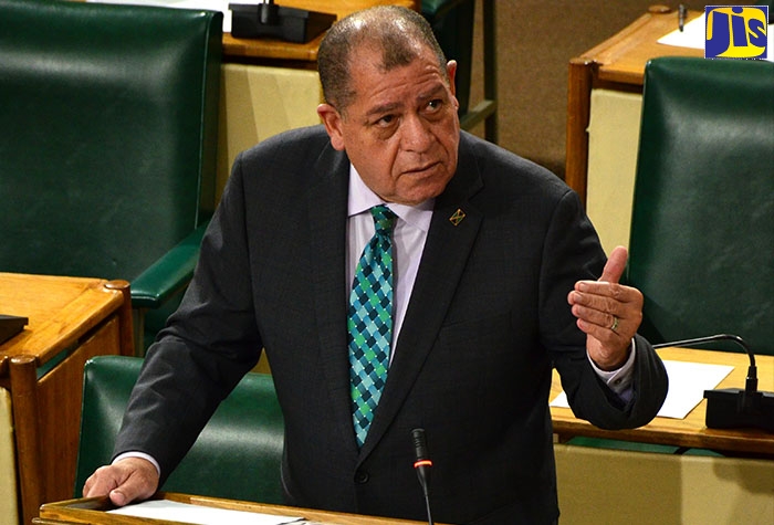 Minister of Industry, Commerce, Agriculture and Fisheries, Hon. Audley Shaw, addresses the House of Representatives on October 8.