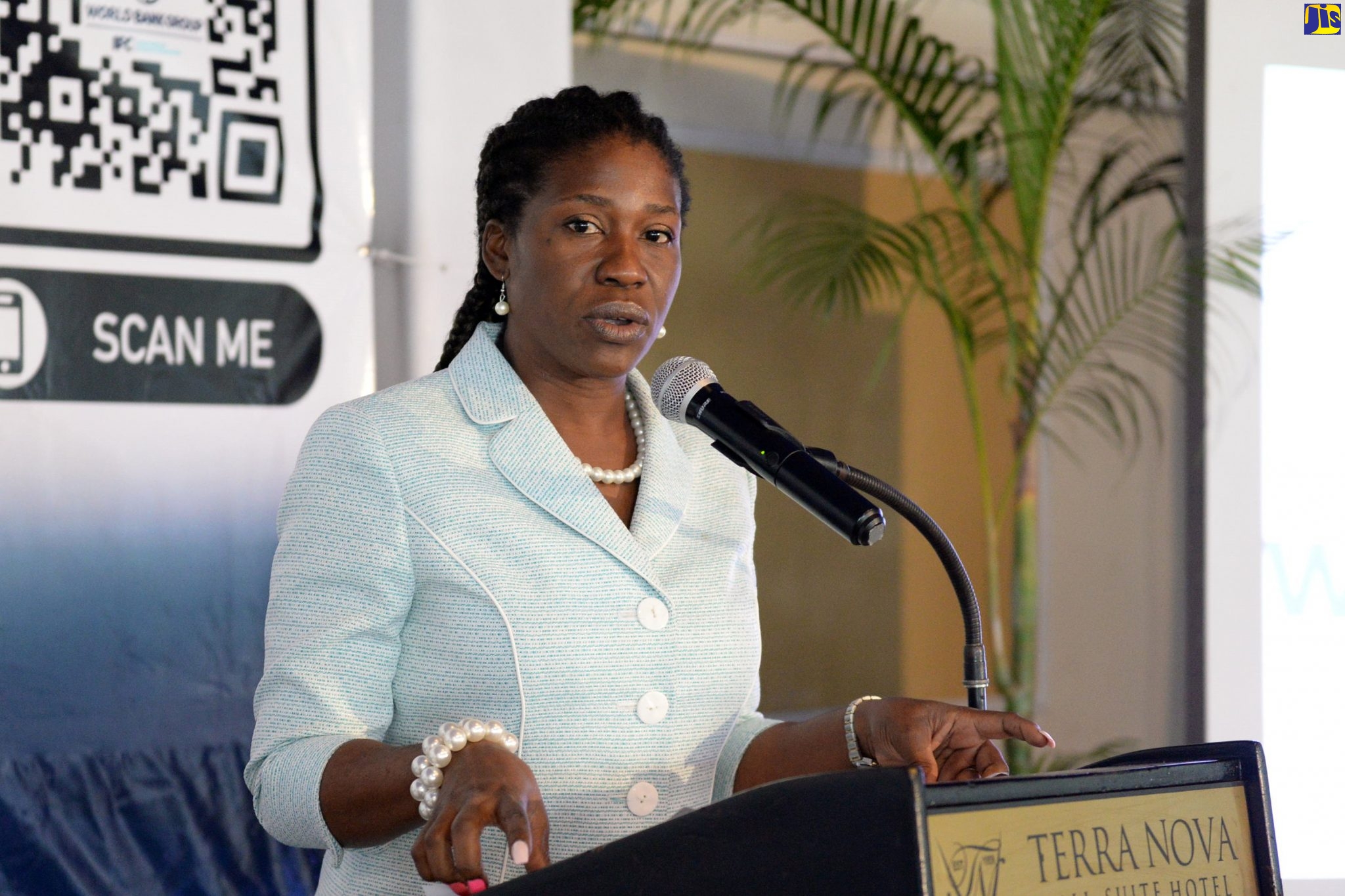 : Chief Technical Director, Ministry of Industry, Commerce, Agriculture and Fisheries, Monique Gibbs, speaking at a workshop on Movable Asset-based Finance at the Terra Nova All-Suite Hotel on Tuesday (October 1).