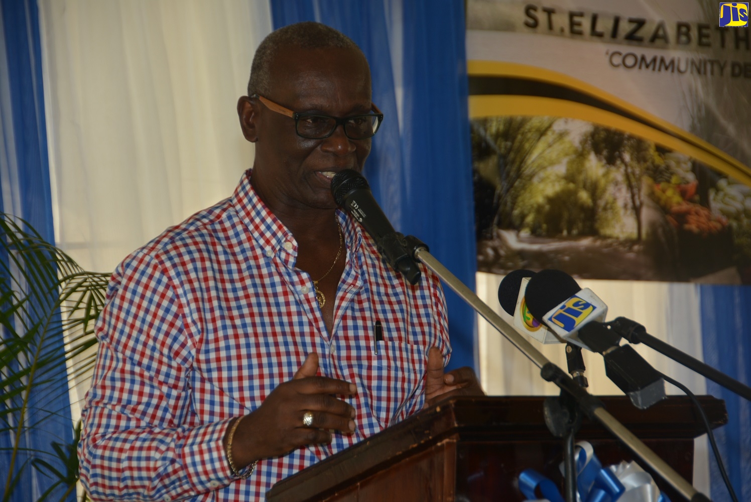 Minister of Local Government and Community Development, Hon. Desmond McKenzie, speaking  at the opening of the Retirement Water Shop in Malvern, St. Elizabeth, on October 3.