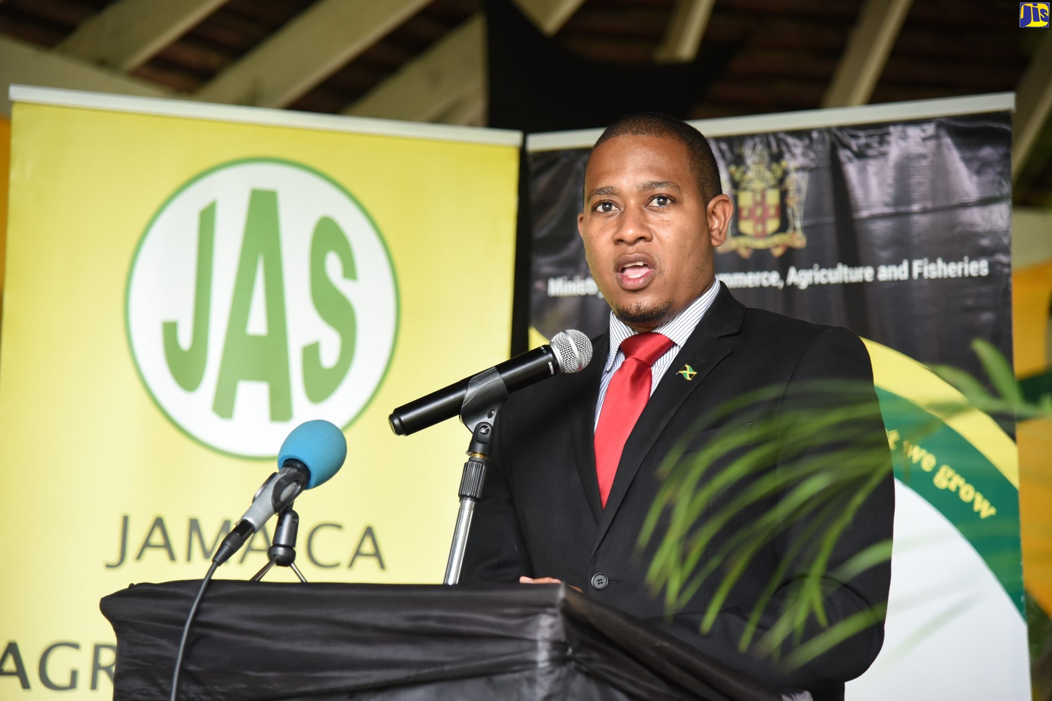 Minister of State in the Ministry of Industry, Commerce, Agriculture and Fisheries, Hon. Floyd Green, addressing the recent Eat Jamaican Day exposition on the lawns of Devon House in St. Andrew.