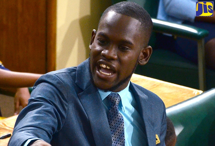 Opposition leader at the National Youth Parliament, Andrew Johnson, offers a spirited defence of his point during the sitting of the event on Monday (November 11), at Gordon House in Kingston.
