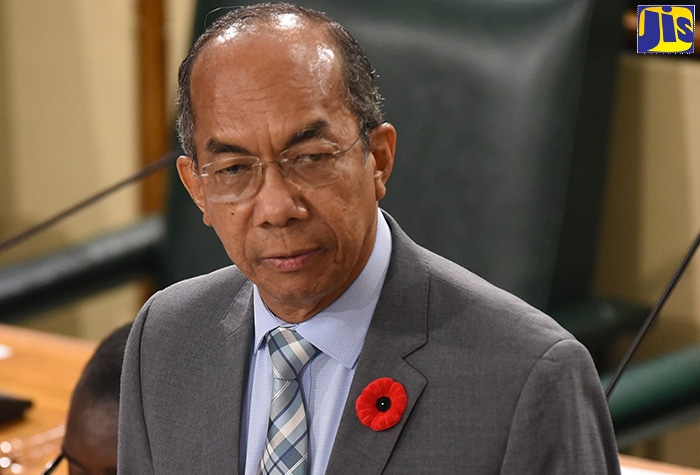 Minister of National Security, Hon. Dr. Horace Chang, addresses the House of Representatives on Tuesday (November 5).