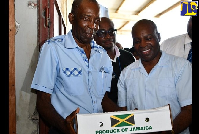 Minister without Portfolio in the Ministry of Industry, Commerce, Agriculture and Fisheries, Hon. J.C. Hutchinson (left) and Acting Permanent Secretary in the Ministry, Dermon Spence (right), hold a box of mangoes that was among the first batch to be exported to the United States in June, at the Sangster International Airport Export Complex in Montego Bay, St. James. At centre is Manager of the complex, Dalton Hastings.