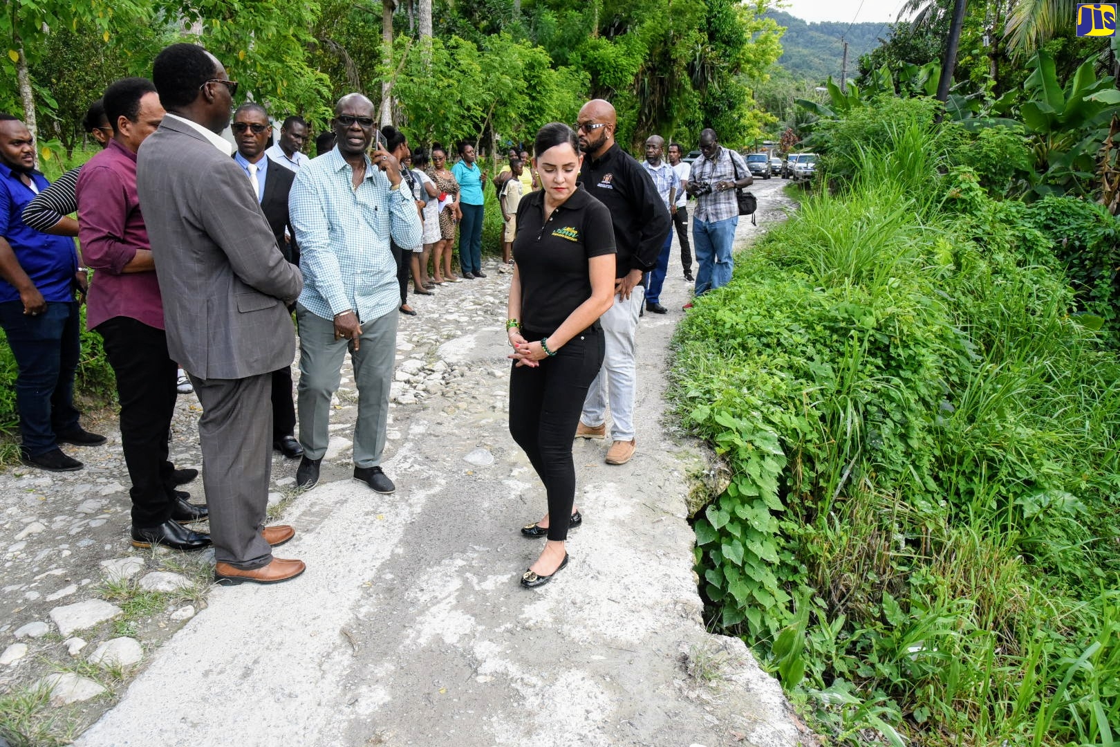 Ginger House Swing Bridge Replaced