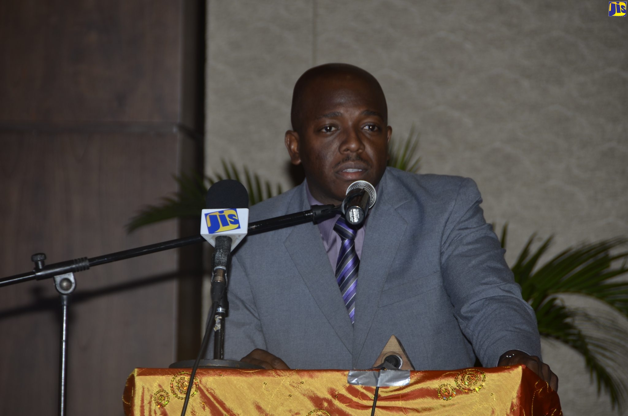Minister without Portfolio in the Ministry of Economic Growth and Job Creation, Senator the Hon. Pearnel Charles Jr.