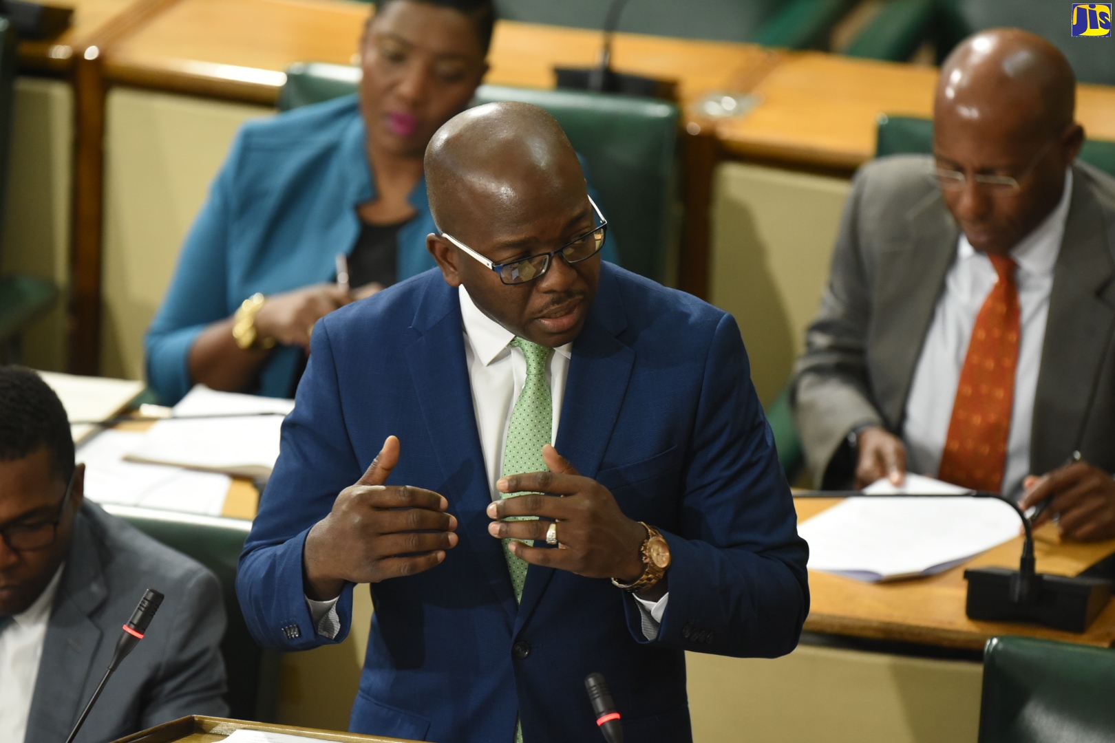 Minister without Portfolio in the Ministry of Economic Growth and Job Creation, Senator Hon. Pearnel Charles Jr, emphasizes a point while moving three motions relating to a 30-day extension of States of Public Emergency (SOEs) in six parishes, during the Senate’s sitting at Gordon House on Friday (December 13).