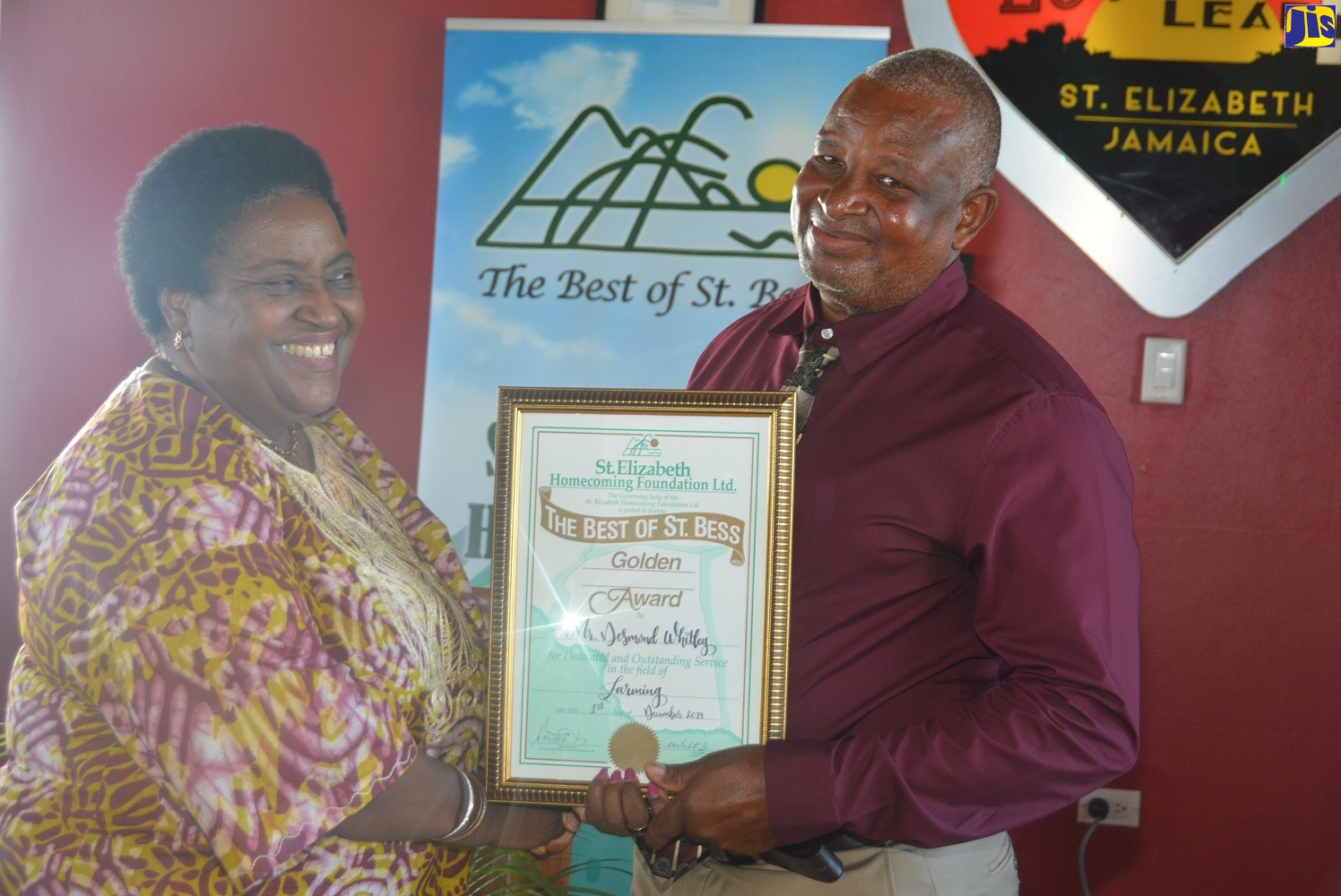 St. Elizabeth Farmer, Desmond Whitely (right), accepts ‘The Best of St. Bess Golden Award’ from Political Ombudsman, Donna Parchment Brown, at the St. Elizabeth Homecoming Foundation's Homecoming Week 2019 Awards Brunch held recently at Lover’s Leap in the parish.