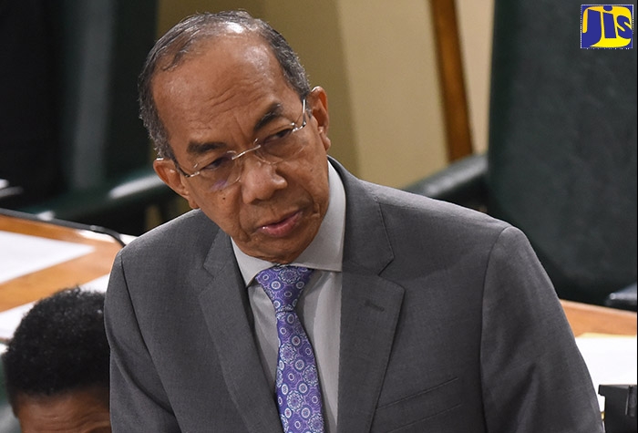 National Security Minister, Hon. Dr. Horace Chang, addresses the House of Representatives on December 3.
