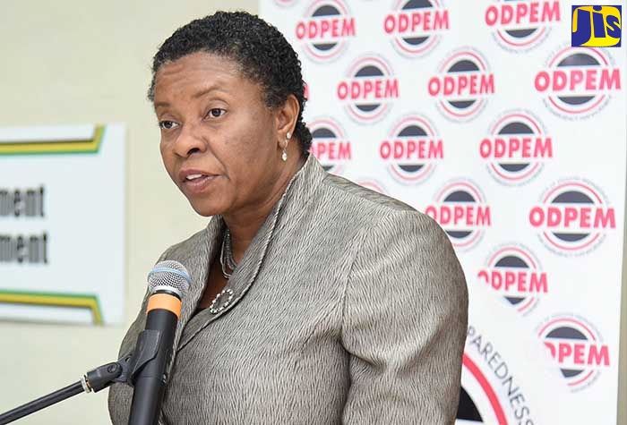Director of Information and Training at the Office of Disaster Preparedness and Emergency Management (ODPEM), Delmares White, speaks at the quarterly press briefing held recently at the Ministry of Local Government and Community Development in Kingston.