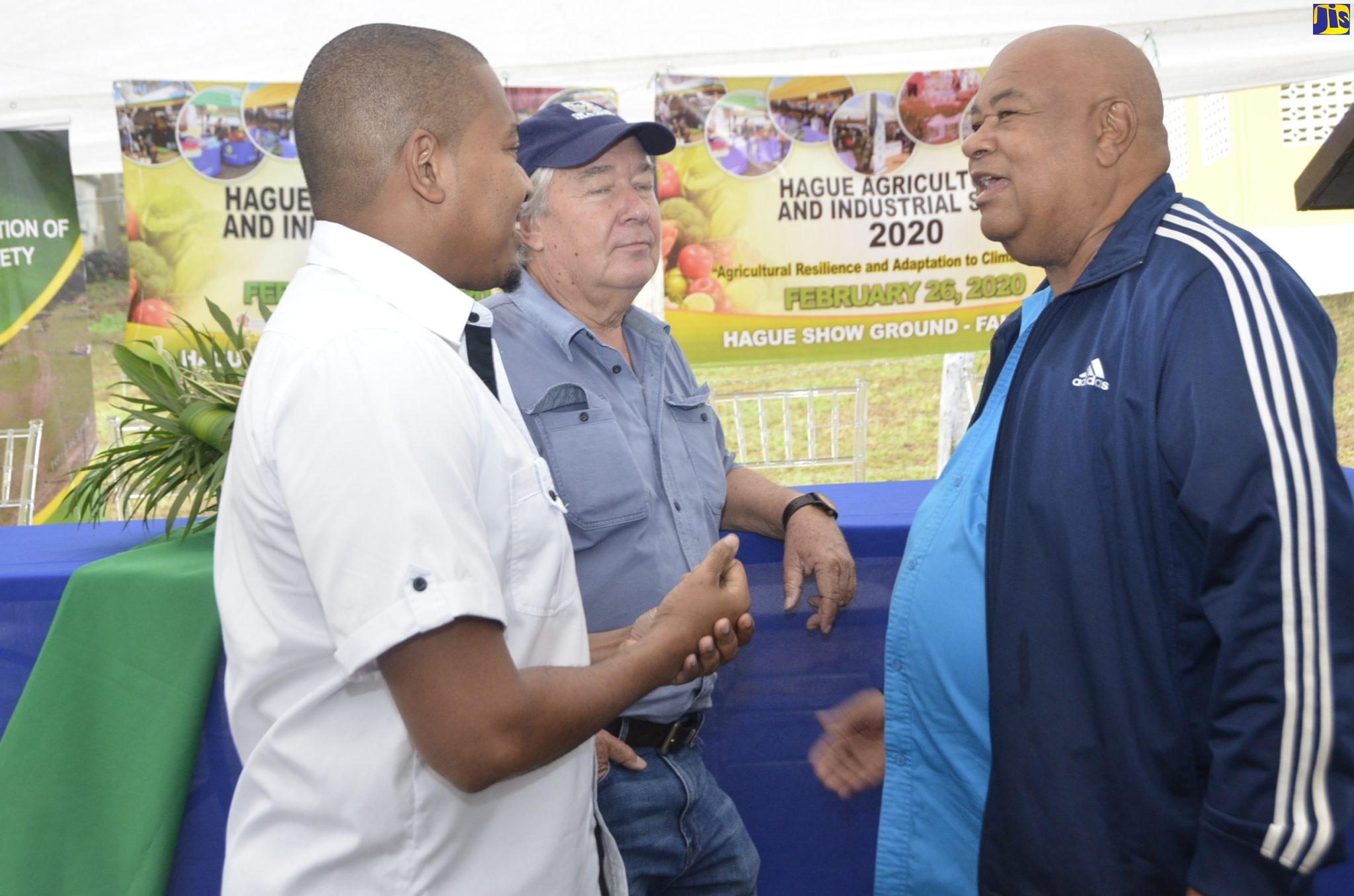 Company To Invest US$280 Million In Bamboo Farm