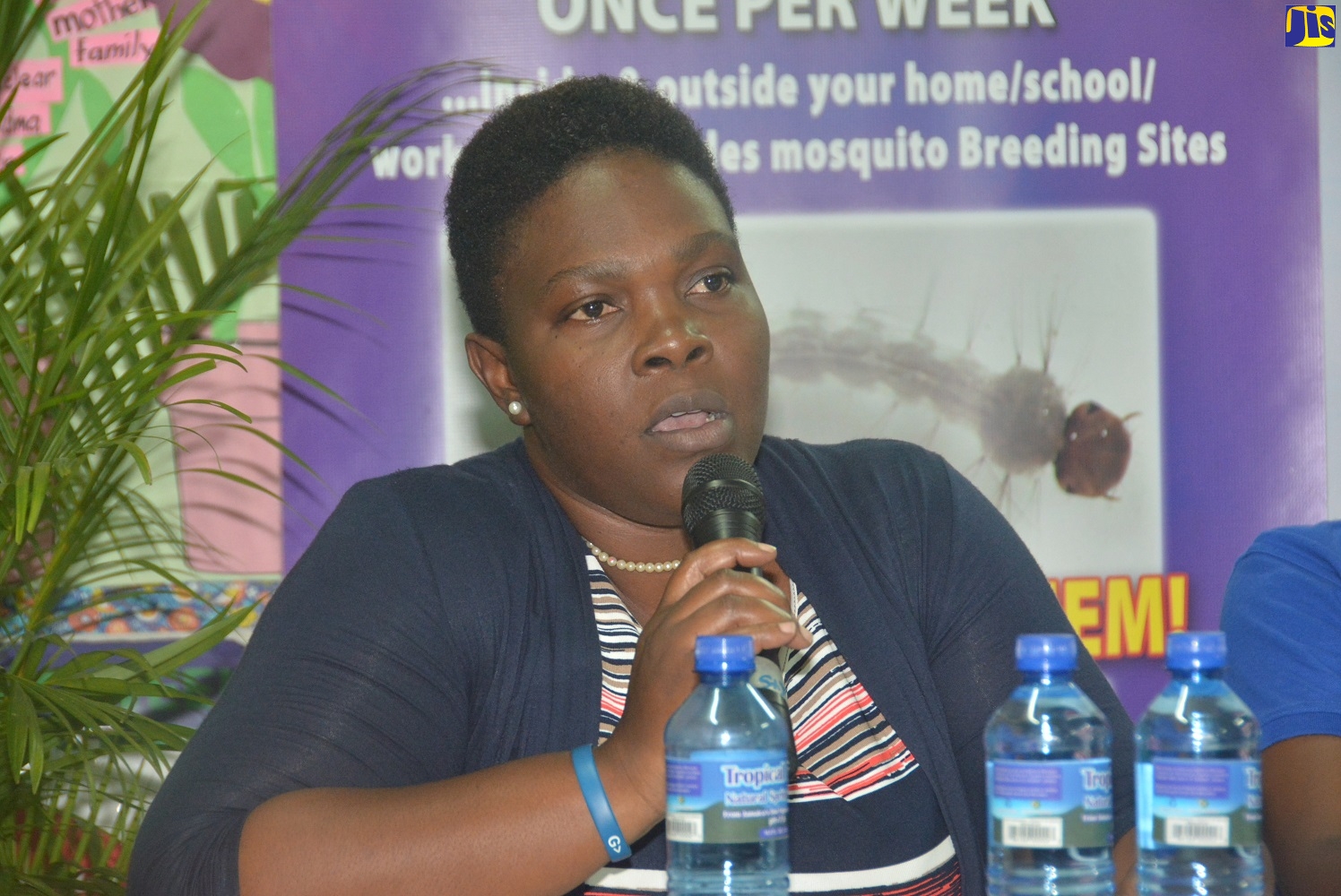 Dengue Town Hall In Granville