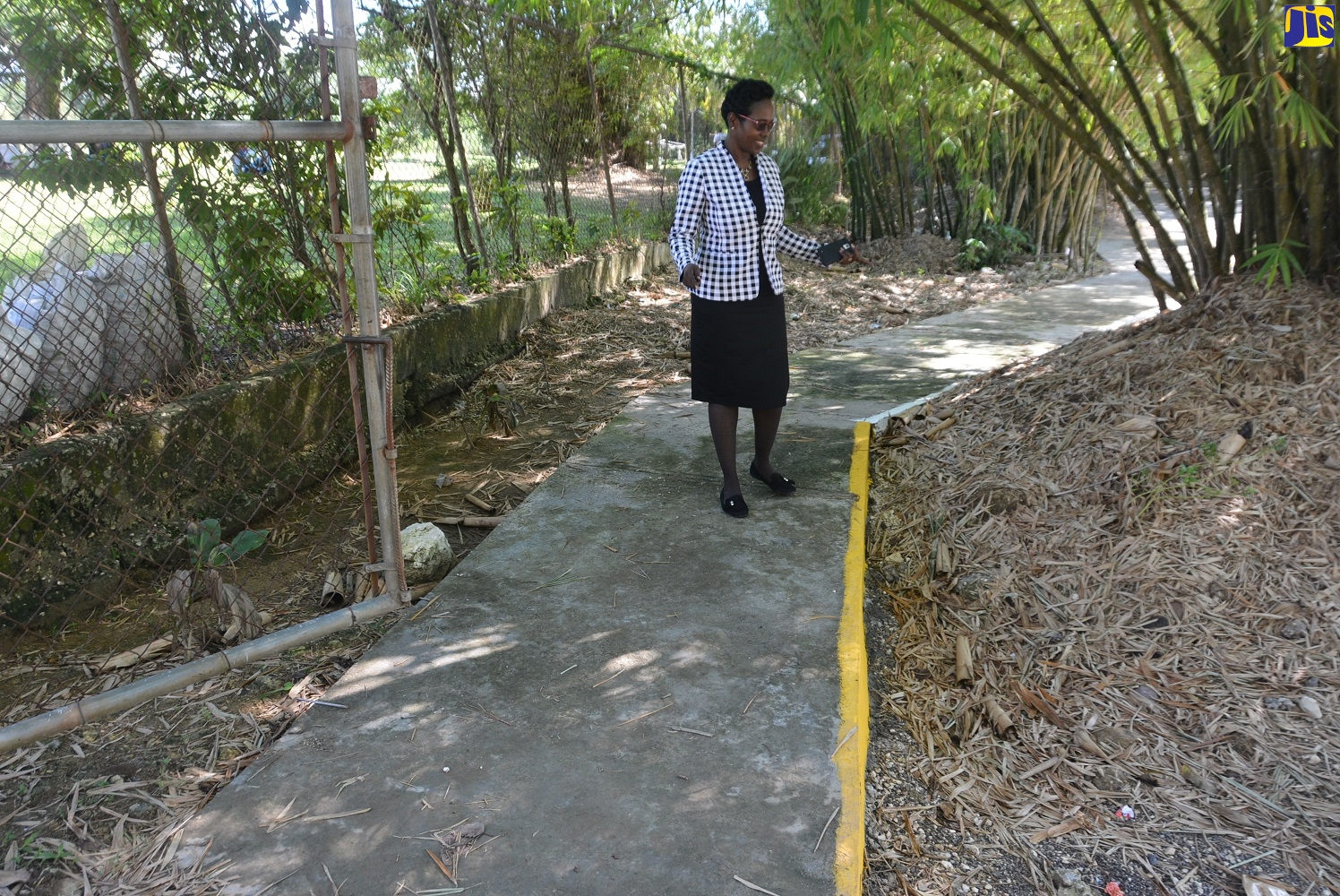 Principal of Holland Primary School in St. Elizabeth, Simone Doctor, walking along a sidewalk that was erected at a section of Holland Bamboo Avenue to promote road safety. The other road-safety infrastructure includes a small bridge, laybys, and school-safety and speed-limit signs.