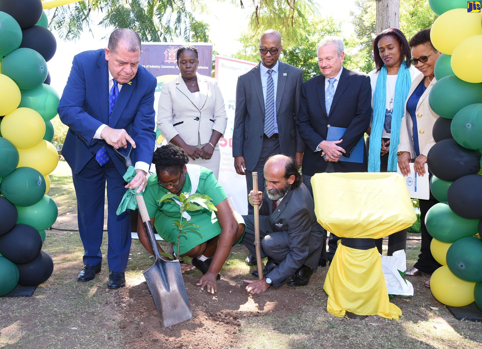 Minister of Industry, Commerce, Agriculture and Fisheries, Hon. Audley Shaw (left) plants an East Indian mango tree with the help of the Jamaica 4-H Clubs Kingston Girl of the Year, Deja-Nai Grant (foreground, second left) and Food and Agriculture Representative to Jamaica, The Bahamas, and Belize, Dr. Crispim Moreira (foreground, right). Occasion was the launch of the International Year of Plant Health (IYPH) at Hope Gardens, St. Andrew, on Wednesday (January 22). Looking on (in background from left) are Chief Plant Quarantine and Produce Inspector in the Ministry, Sanniel Wilson-Graham; Deputy Programme Manager, CARICOM Secretariat, Dr. Richard Blair; Chairman of the Caribbean Plant Health Directors Forum, Brian Crichlow; Caribbean Agricultural Research and Development Institute (CARDI) Representative in Jamaica, Dionne Clarke-Harris; and Inter-American Institute for Cooperation on Agriculture (IICA) representative in Jamaica, Dr. Elizabeth Johnson.