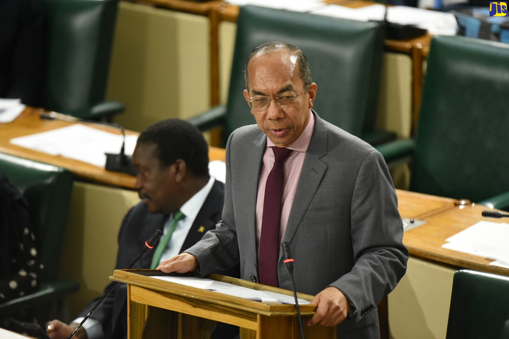 (FILE) National Security Minister, Hon. Dr. Horace Chang, addresses the House of Representatives on Tuesday (February 4). At left is Minister of Transport and Mining, Hon. Robert Montague.
