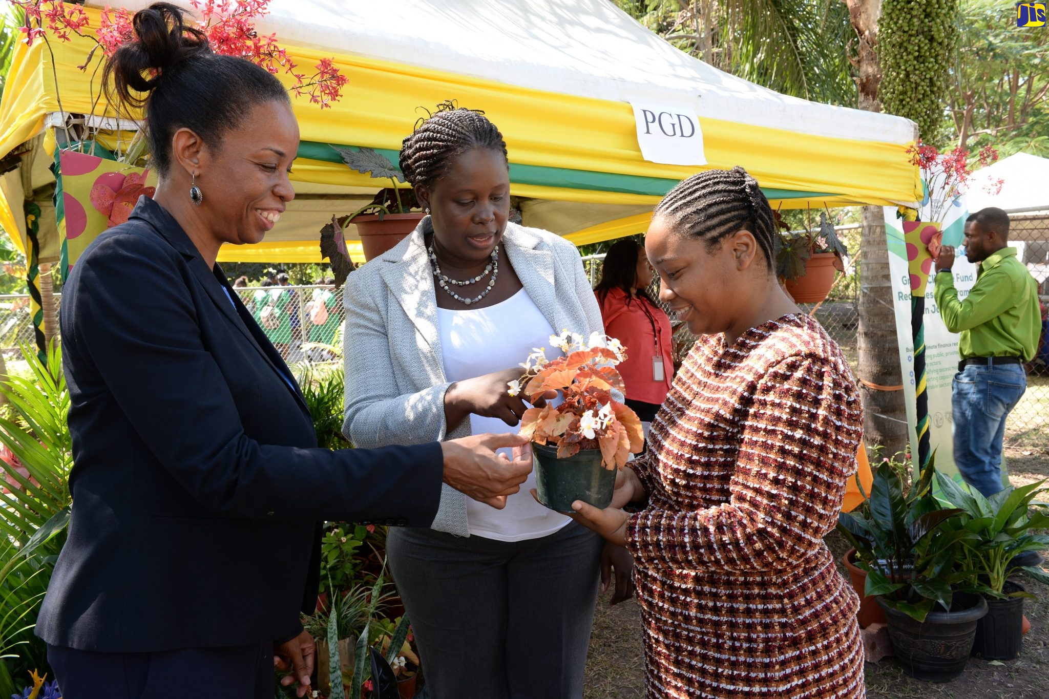 Chief Plant Quarantine Officer at the Plant Quarantine and Produce Inspection Branch of the Ministry of Industry, Commerce, Agriculture and Fisheries (MICAF),  Sanniel Wilson Graham (centre), examines a plant with Acting Chief Technical Director in the Ministry, Gillian Guthrie (left),  at a Botanical and Horticultural Seminar, at Hope Gardens on Friday (January 31).  At right is Acting Superintendent, Public Gardens Division, MICAF, Shanae Marks Bryan
