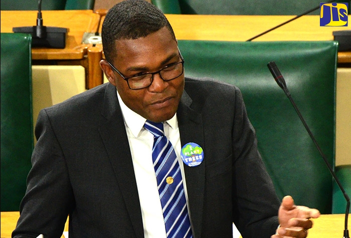 Parliamentary Secretary in the Office of the Prime Minister, Senator Robert Morgan, emphasises a point during his contribution to the 2019/20 State of the Nation Debate in the Senate on February 7.