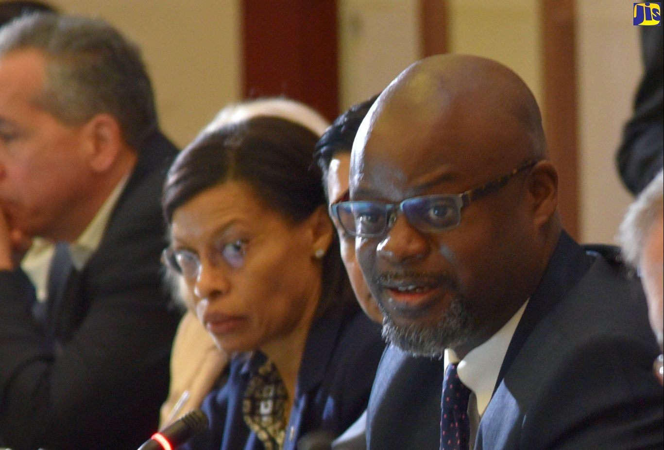 The United States Agency for International Development (USAID) Jamaica Mission, Deputy Director, Jason Fraser (right), makes his presentation at the 4th Energy Climate Partnership of the Americas (ECPA) Ministerial Meeting, held at the Montego Bay Convention Centre, St. James, on February 27. At left is outgoing President of the American Chamber of Commerce of Jamaica, Allison Peart.