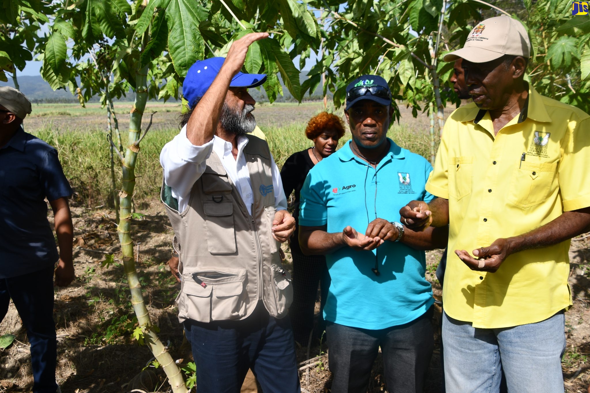 Minister without Portfolio in the Ministry of Industry, Commerce, Agriculture and Fisheries, Hon. J.C. Hutchinson (third left), listens keenly to a point being made by Food and Agriculture Organization (FAO) Representative, Dr. Crispim Moreira (left), during a tour of sections of the 2,400-acre Holland Estate in St. Elizabeth, recently.