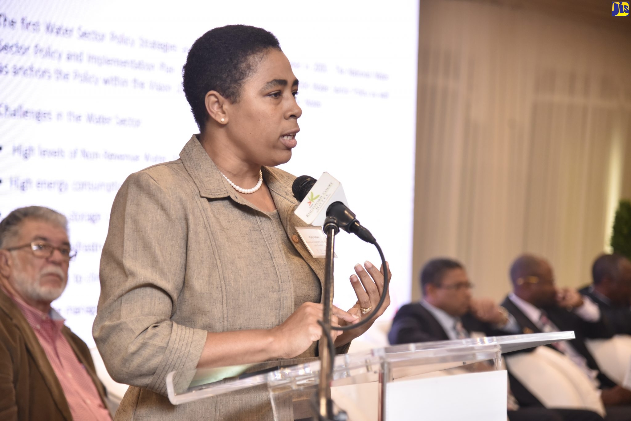 Acting Senior Director, Water Policy and Monitoring, Ministry of Economic Growth and Job Creation (MEGJC), Talia Gibson