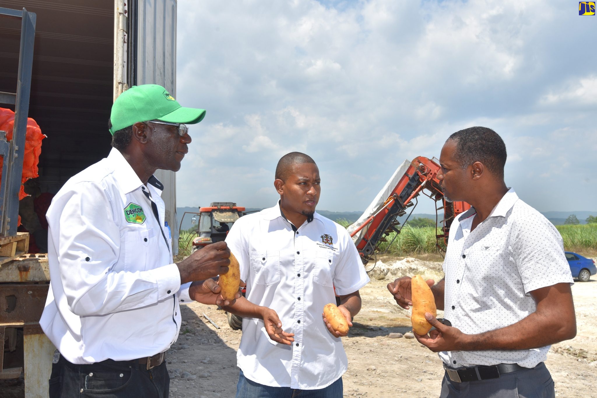 Government Secures Local Buyer For Excess Irish Potato