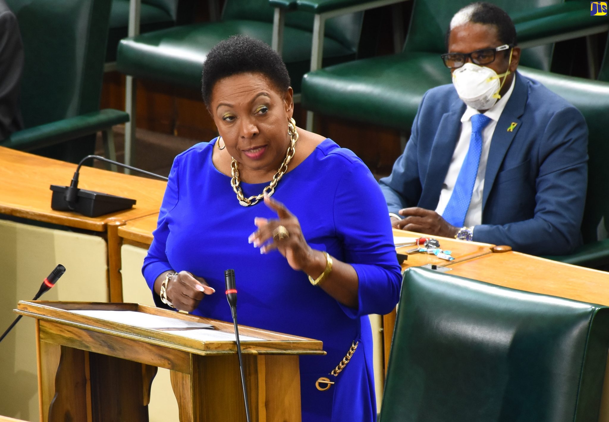 Minister of Culture, Gender, Entertainment and Sport, Hon. Olivia Grange, delivering a statement to the House of Representatives on April 15.