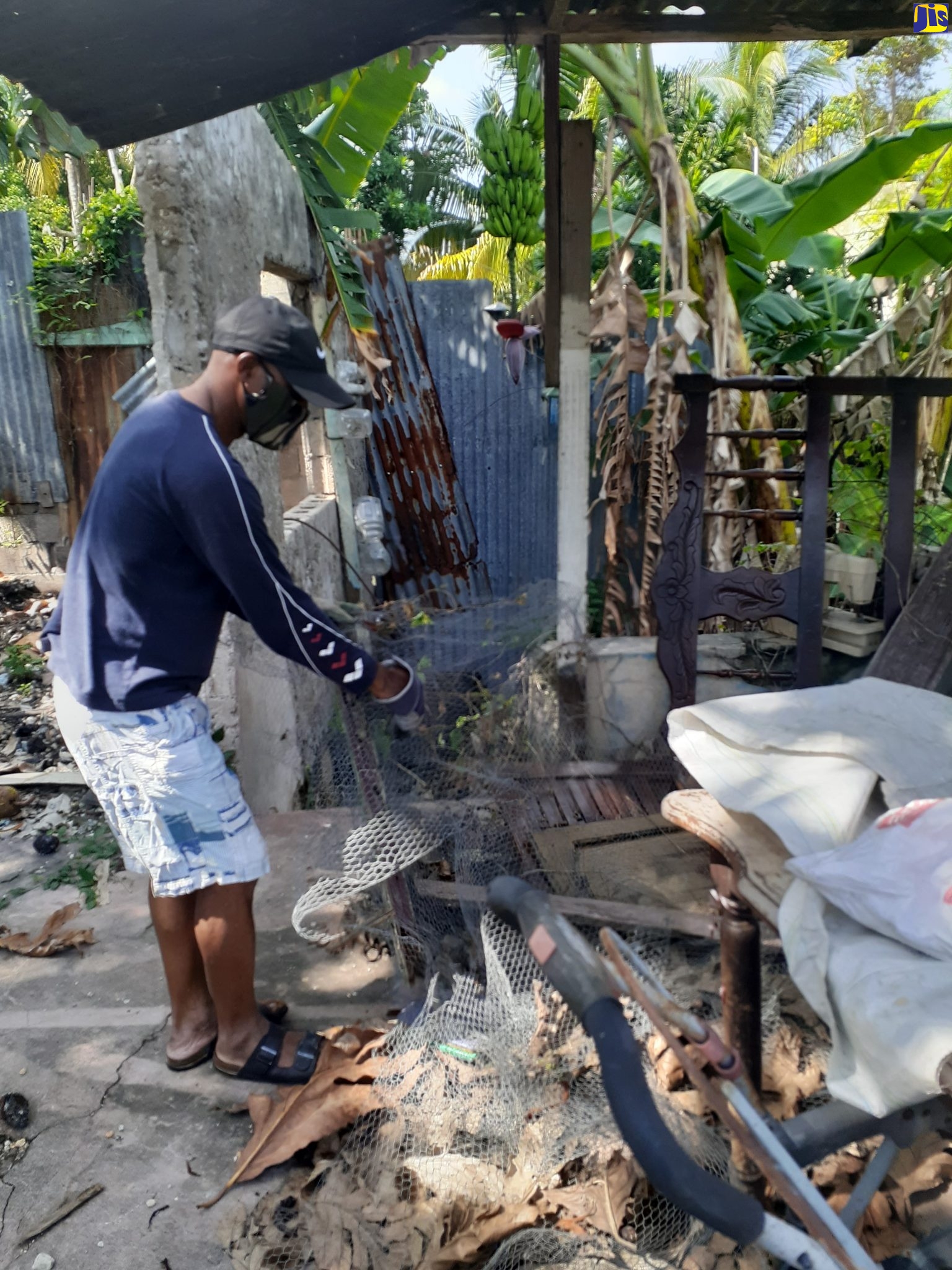 Mount Salem, St. James resident, Balvin Brown, removes bulky waste from a section of his back yard on Labour Day (May 25).