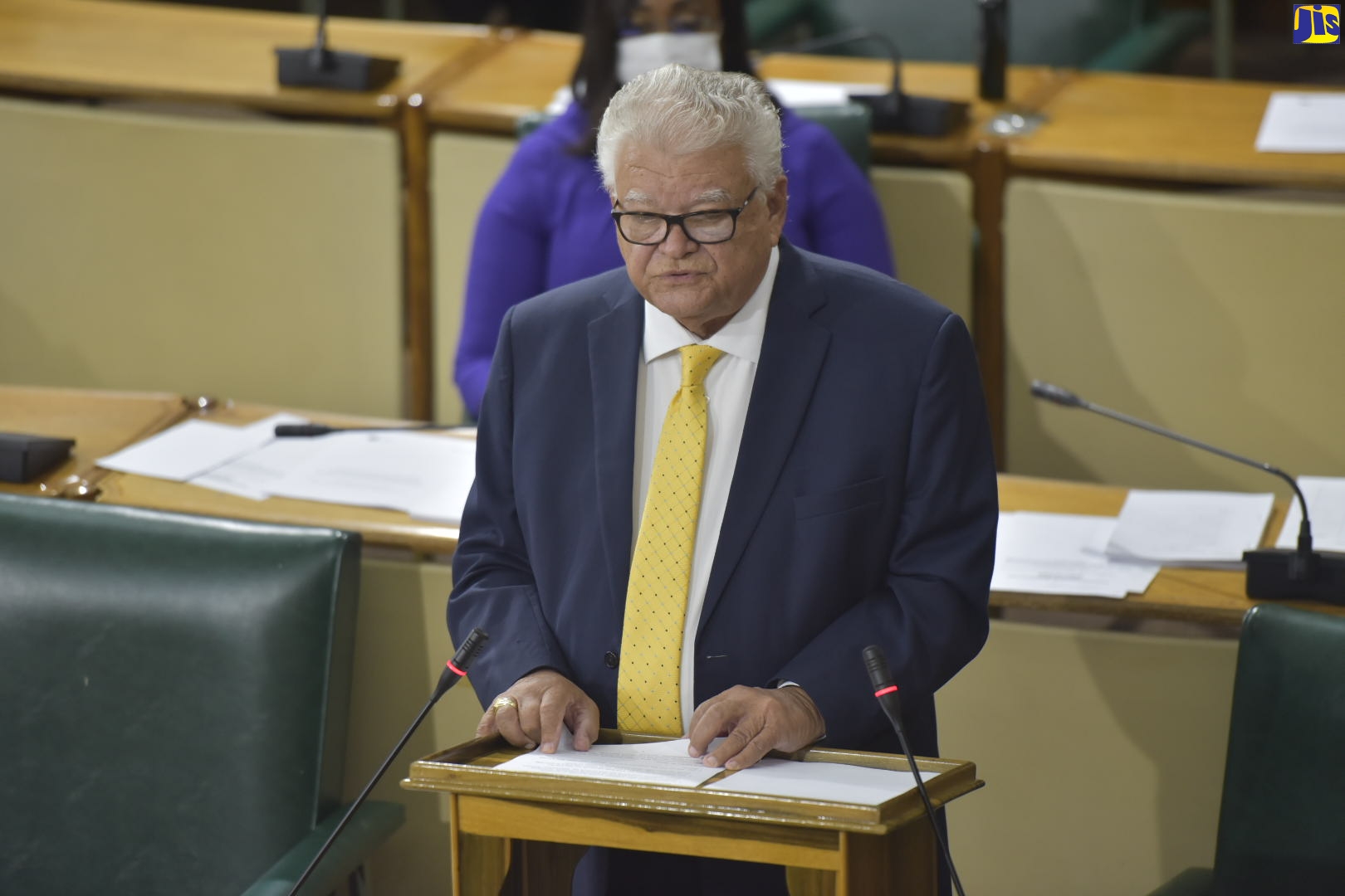 Minister with oversight for Education, Youth and Information, Hon. Karl Samuda, gives a statement to the House of Representatives on May 5.