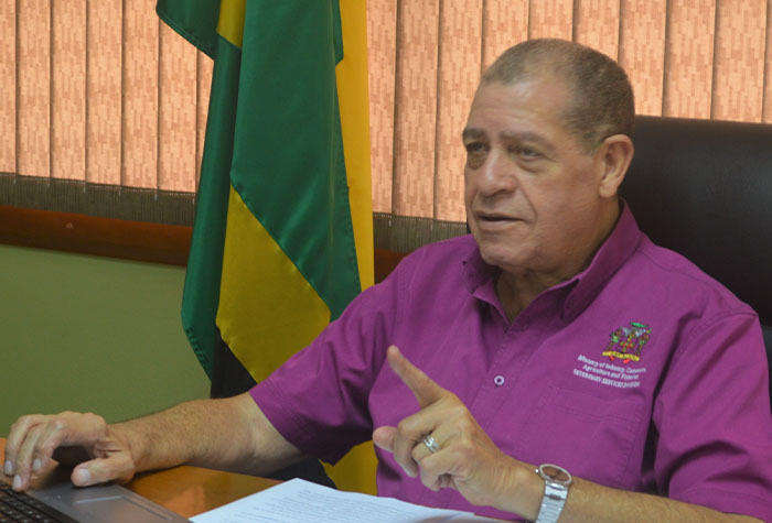 MSMEs Encouraged To Adopt Business Continuity Plan – Minister Shaw