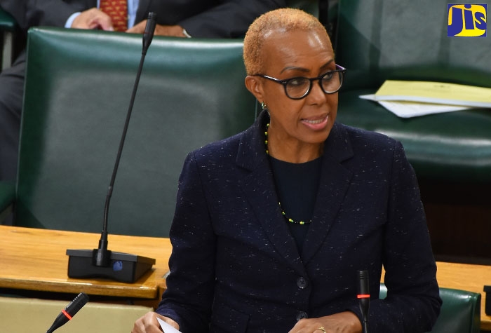 Minister of Science, Energy and Technology, Hon. Fayval Williams, opens the debate on the Data Protection Act, 2020, during the sitting of the House of Representatives on Wednesday (May 13).