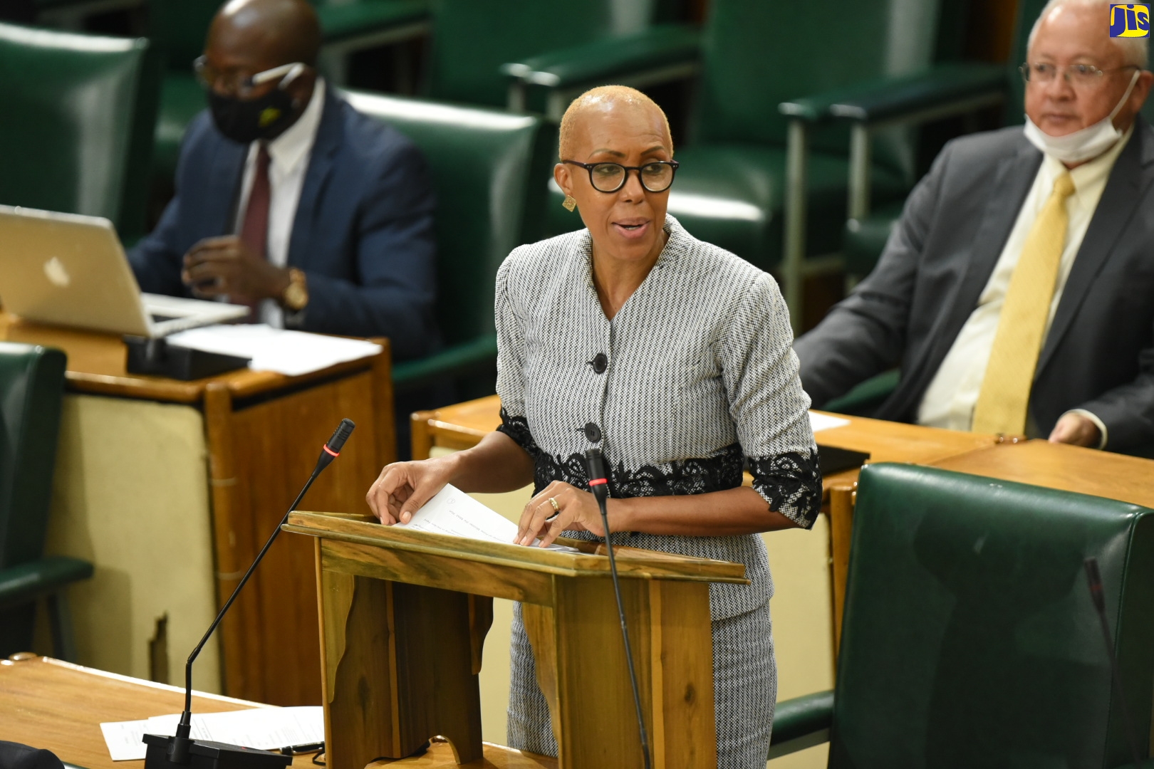Minister of  Science, Energy and Technology, Hon. Fayval Williams, makes her contribution to the 2020/21 Sectoral Debate in the House of Representatives on Wednesday (June 17).