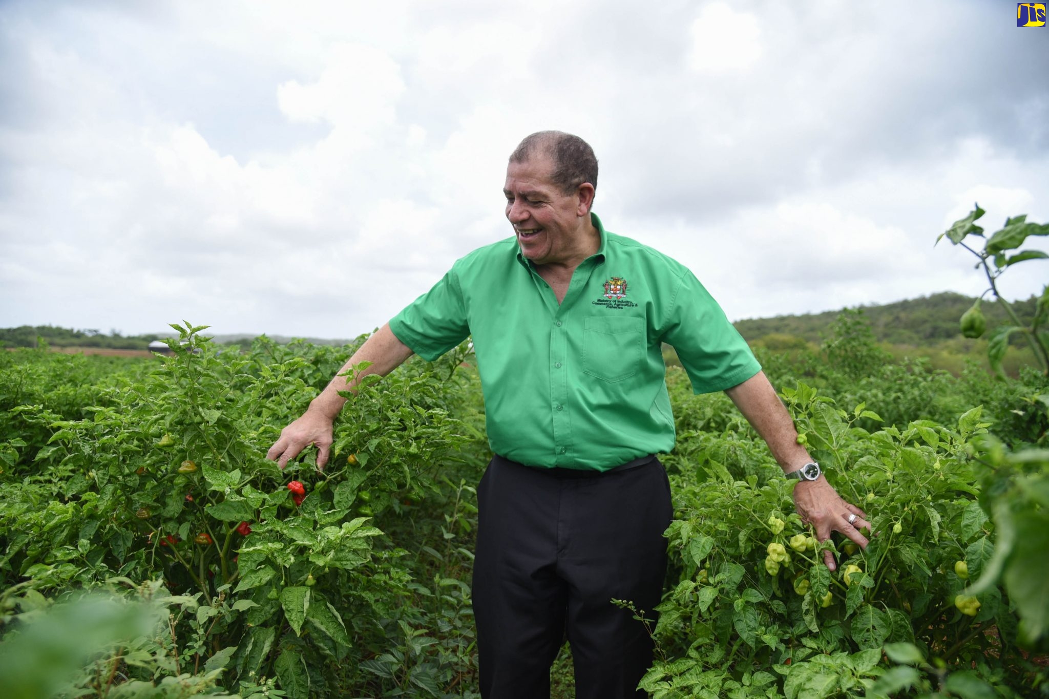 2,000 Drip Irrigation Systems To Be Distributed To Farmers